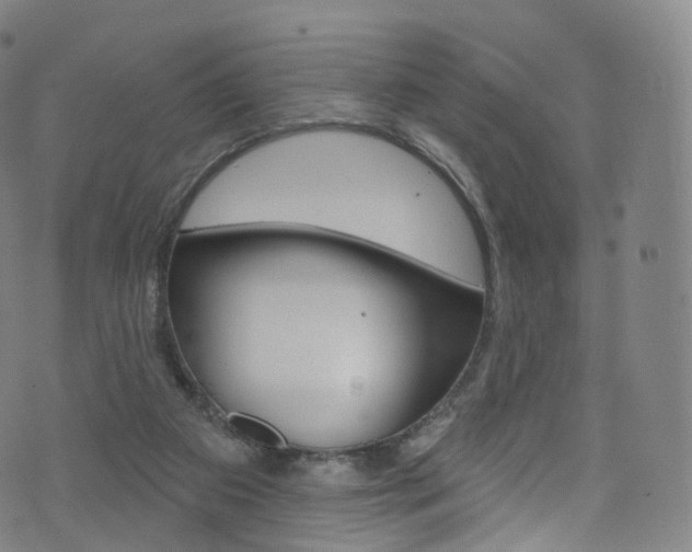 X0000076380113200610060936