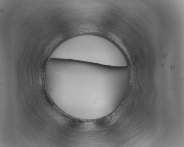 X0000076380114200610060936