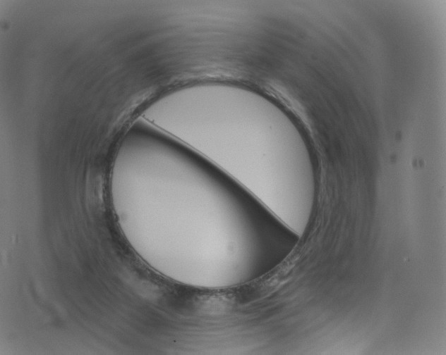 X0000076380115200610060936