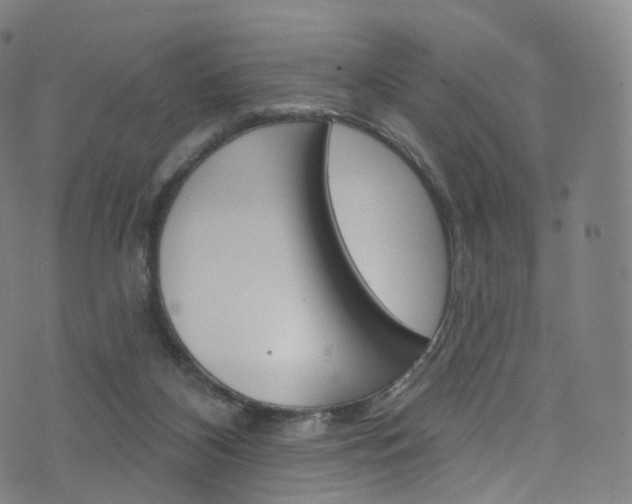 X0000076380116200610060936