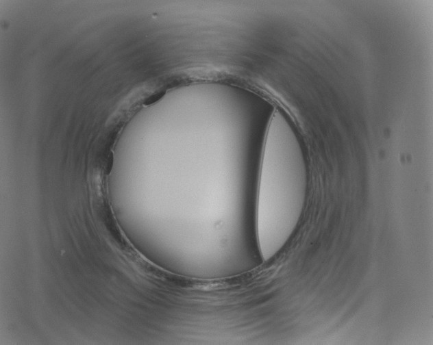 X0000076380117200610060936