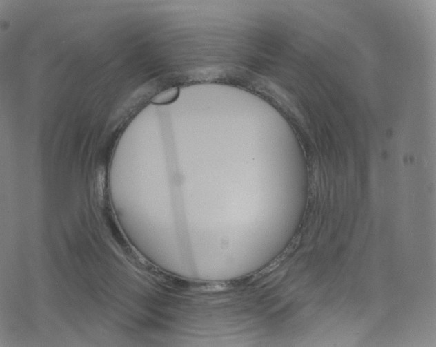 X0000076380118200610060936