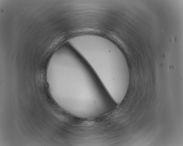 X0000076380119200610060936