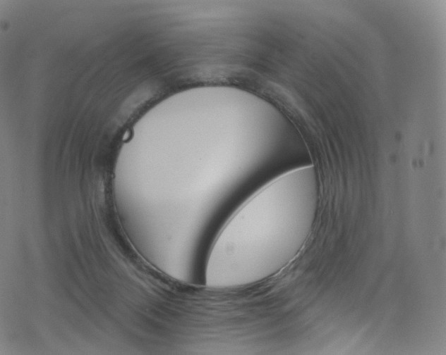 X0000076380120200610060936