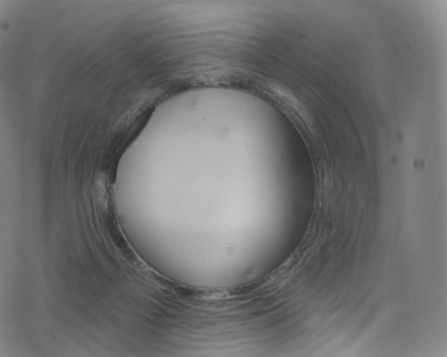 X0000076380121200610060936