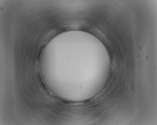 X0000076380122200610060936