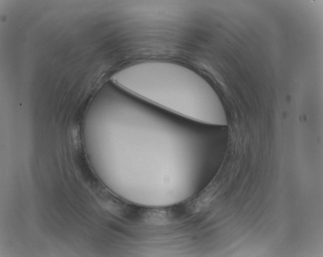 X0000076380123200610060936