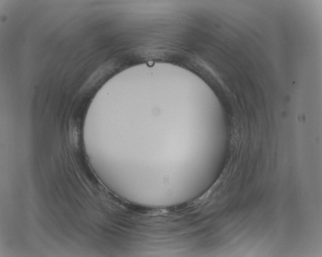 X0000076380124200610060936