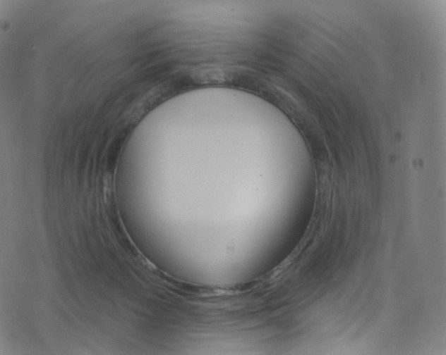 X0000076380125200610060936