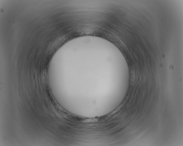 X0000076380126200610060935