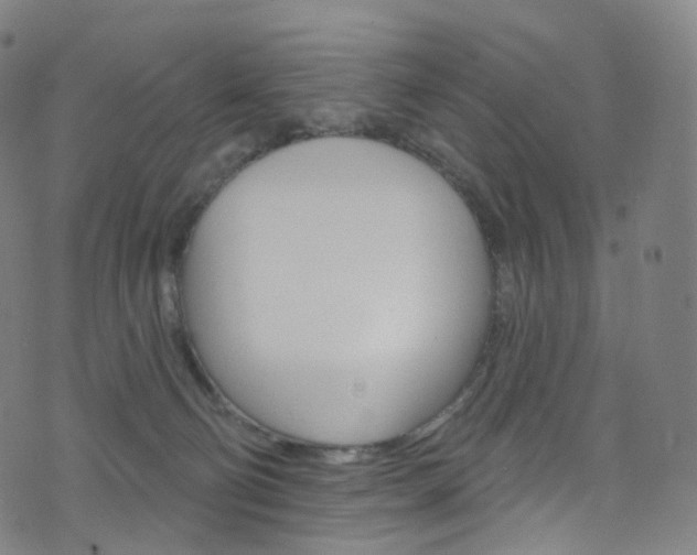 X0000076380130200610060935