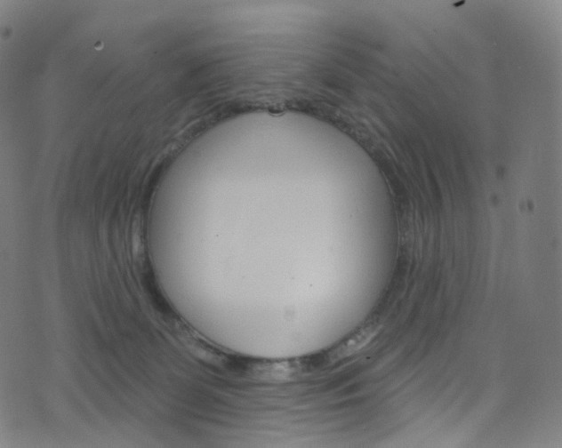 X0000076380131200610060935