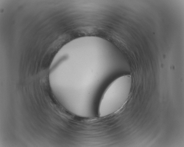 X0000076380132200610060935