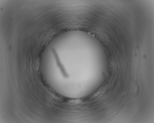 X0000076380133200610060935