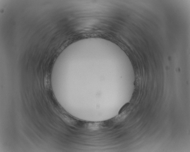 X0000076380134200610060935