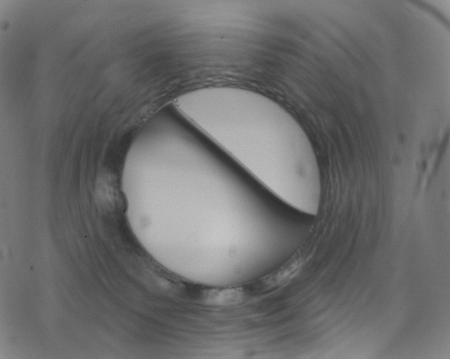 X0000076380135200610060935