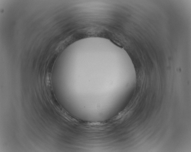 X0000076380137200610060935