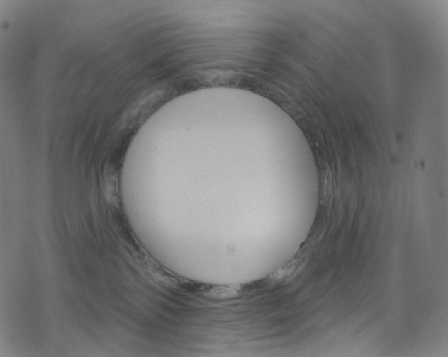 X0000076380138200610060935