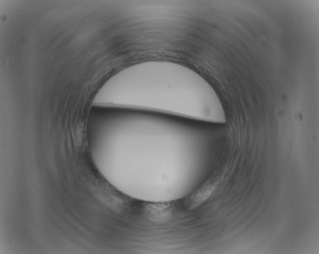 X0000076380139200610060935