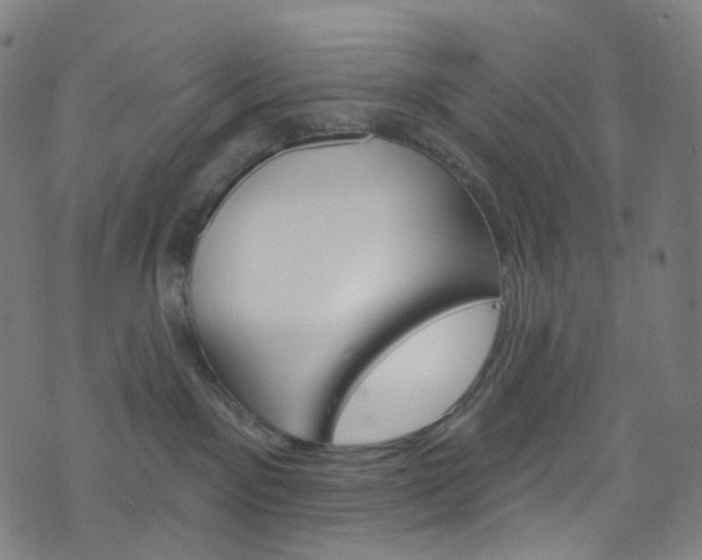 X0000076380141200610060935