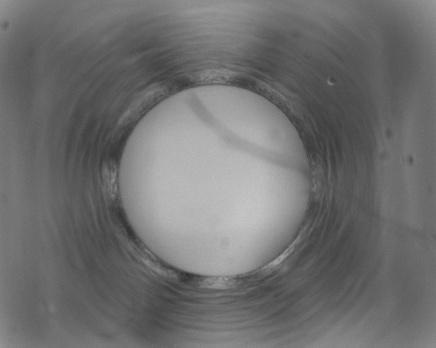 X0000076380142200610060935