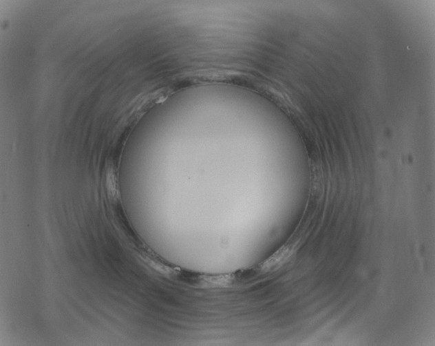 X0000076380143200610060935