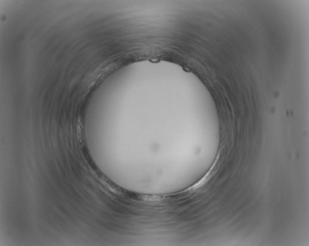 X0000076380144200610060935