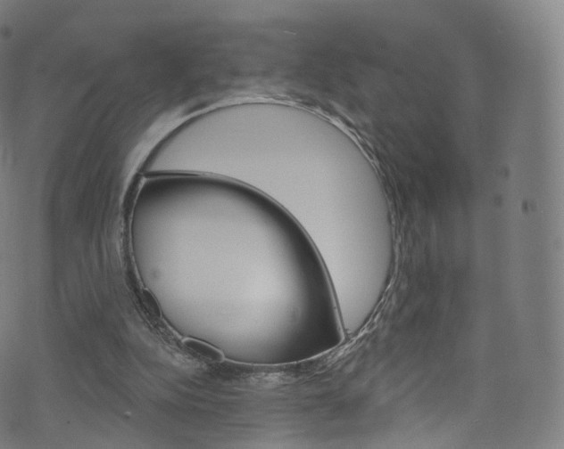 X0000076380152200610060935