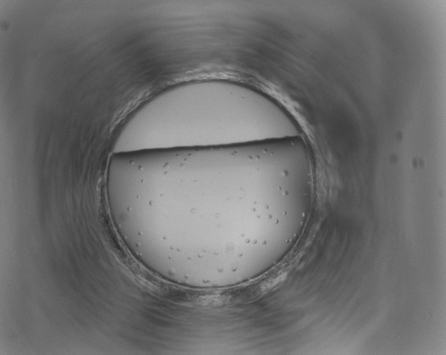 X0000076380153200610060935