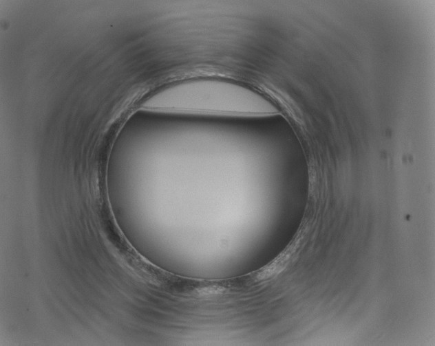 X0000076380158200610060935