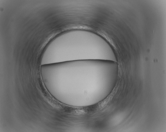 X0000076380159200610060935