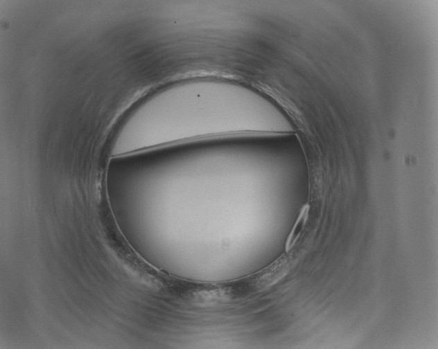 X0000076380160200610060935