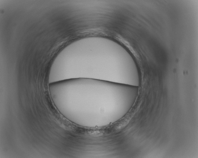 X0000076380161200610060935