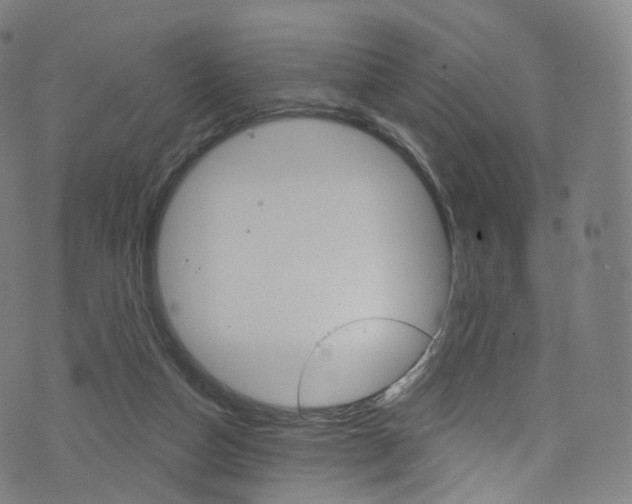 X0000076380162200610060935