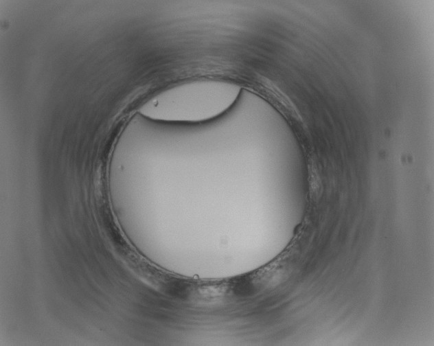 X0000076380163200610060935