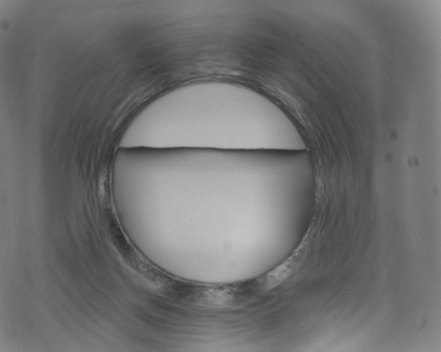 X0000076380166200610060935