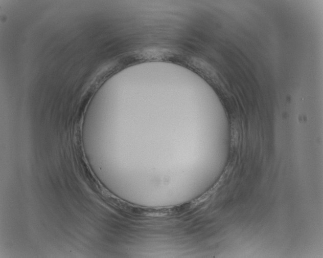 X0000076380167200610060935