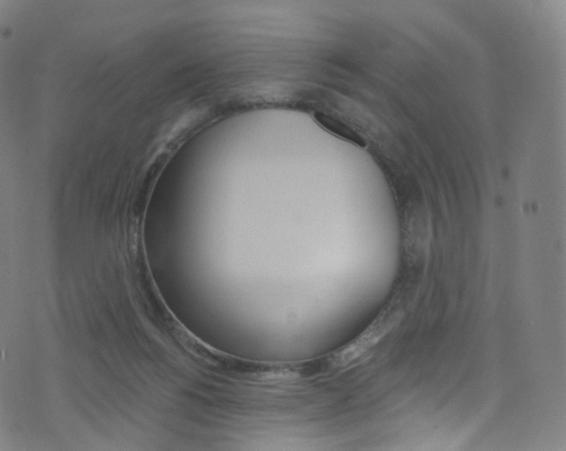 X0000076380168200610060935