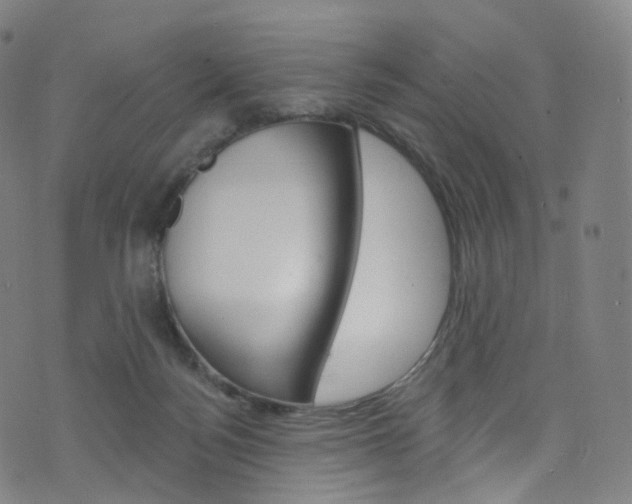 X0000076380172200610060935