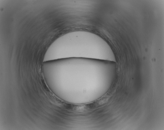 X0000076380173200610060935