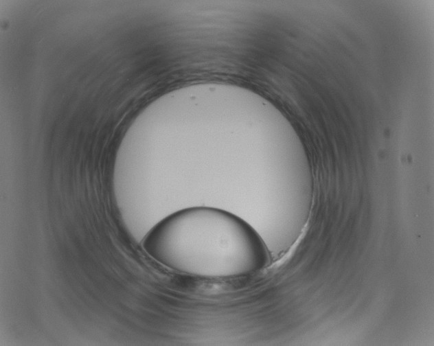 X0000076380174200610060935