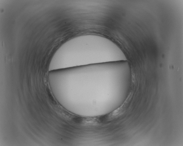 X0000076380175200610060935