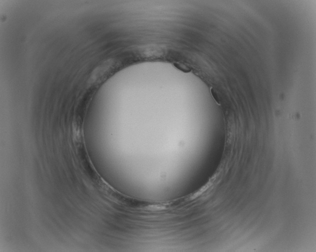 X0000076380176200610060935