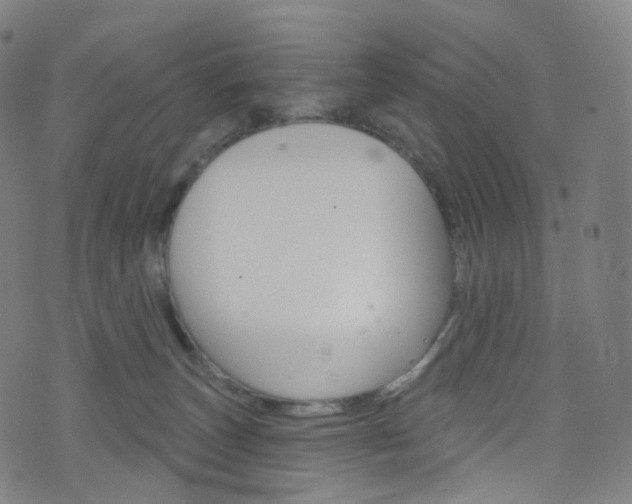 X0000076380179200610060935