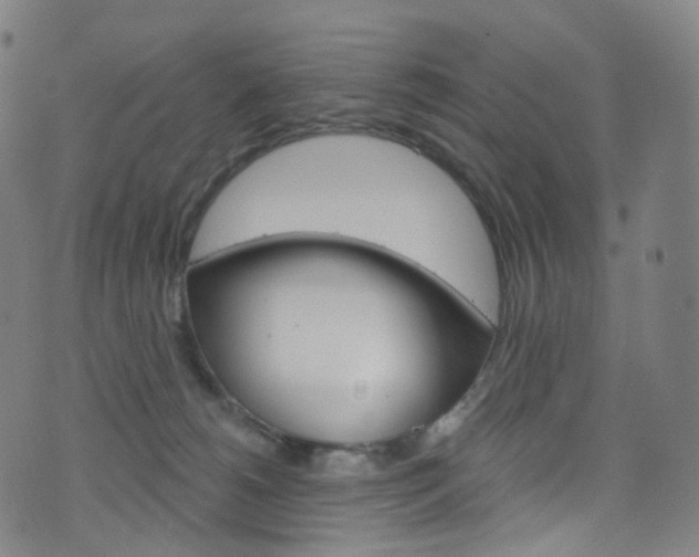 X0000076380180200610060935