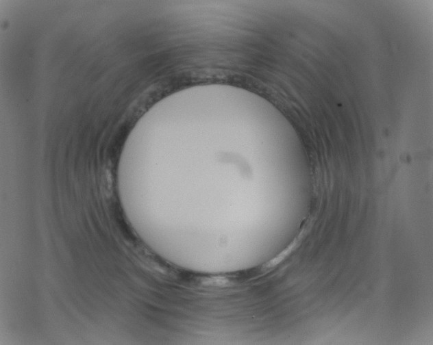 X0000076380183200610060935