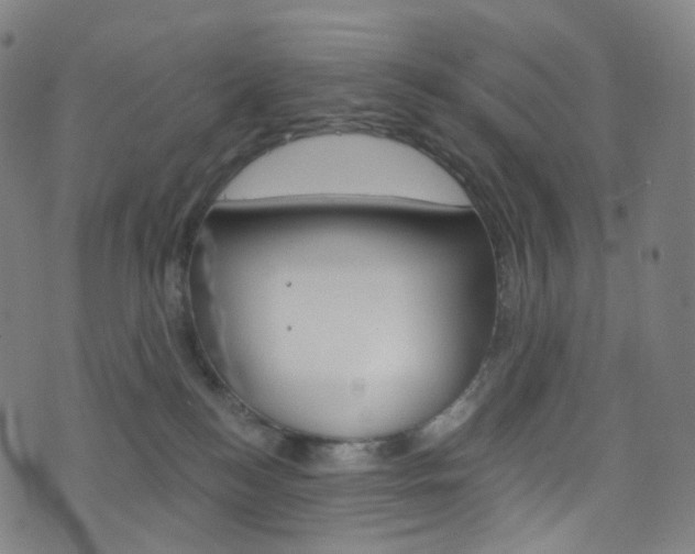 X0000076380184200610060935