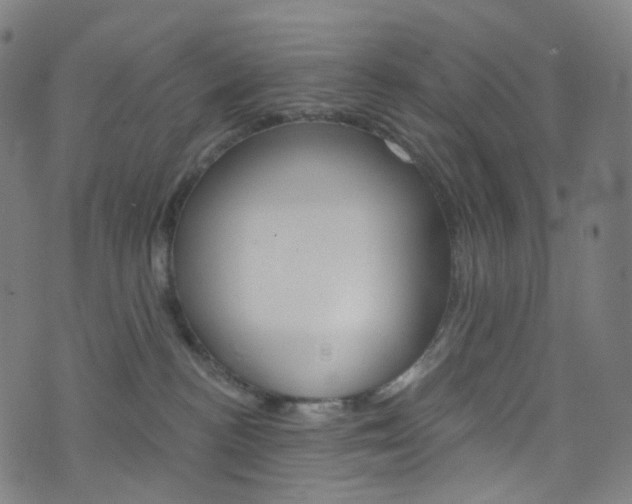 X0000076380188200610060935