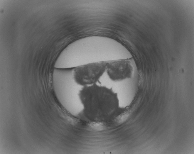 X0000076380189200610060935