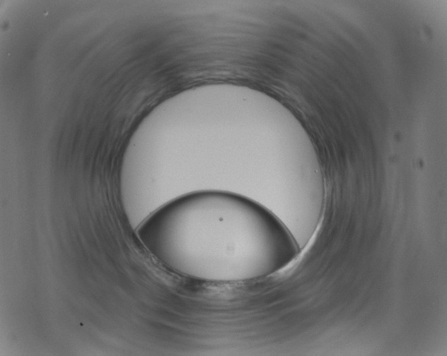 X0000076380190200610060935